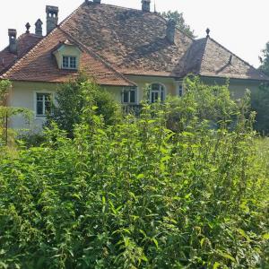 Kräuter vor Haus bei Meisterkräutertherapie