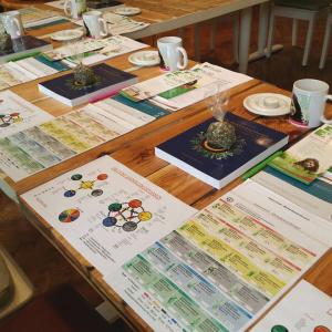 Die Meisterkräutertherapie - Europäische Kräuterkunde nach TCM Seminar Die Meisterkräutertherapie - Europäische Kräuterkunde nach TCM Seminar