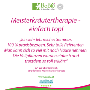 Das sagen unsere AbsolventInnen Das sagen unsere AbsolventInnen