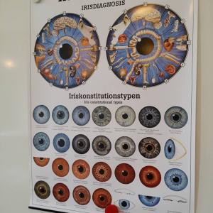 Irisdiagnose Plakat