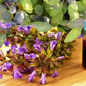 Schüssler Mineralsalze 1 - Funktionsmittel und Antlitzanalyse - Fotolia hjschneider Schüssler Mineralsalze 1 - Funktionsmittel und Antlitzanalyse - Fotolia hjschneider