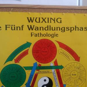 Die 5 Wandlungsphasen - Wuxing