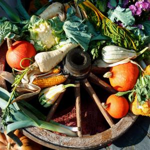 TCM Diätetik Kochpraxis - 5 Elemente & vegane Küche TCM Diätetik Kochpraxis - 5 Elemente & vegane Küche