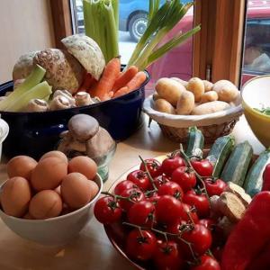 TCM Lebensmittellehre TCM Lebensmittellehre