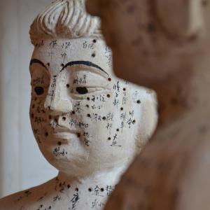 TCM Gesichtsdiagnostik - Chinese Face Reading - Gesichtslesen TCM Gesichtsdiagnostik - Chinese Face Reading - Gesichtslesen