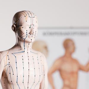 TCM Meridianlehre - Akupressurpunkte - Fotolia TCM Meridianlehre - Akupressurpunkte - Fotolia