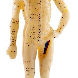 TCM Meridianlehre - Akupressurpunkte TCM Meridianlehre - Akupressurpunkte