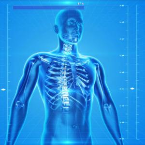 Medizinische Grundlagen - Anatomie und Physiologie