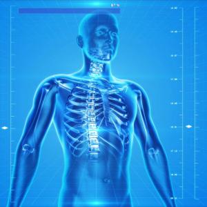 Medizinische Grundlagen - Anatomie und Physiologie Medizinische Grundlagen - Anatomie und Physiologie