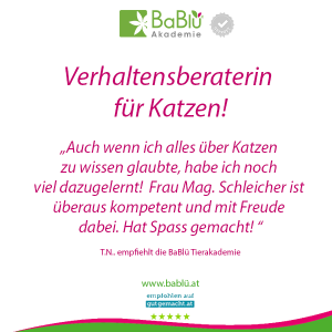 Das sagen unsere AbsolventInnen Das sagen unsere AbsolventInnen