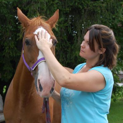 Akupressur für Tiere (Praxis-Schwerpunkt Pferde & Hunde)