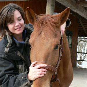 Dr.med.vet. Andrea Wüstenhagen