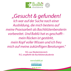 Das sagen unsere AbsolventInnen Das sagen unsere AbsolventInnen