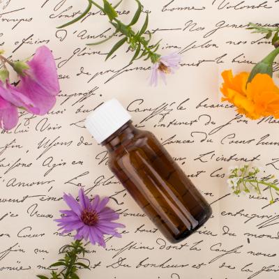 NT1 Übungsworkshop: Bachblüten-Schienen und Hautzonen®