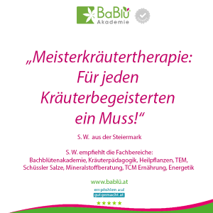 Das sagen unsere AbsolventInnen Das sagen unsere AbsolventInnen