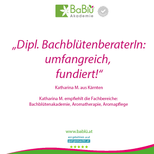 Das sagen unsere AbsolventInnen Das sagen unsere AbsolventInnen