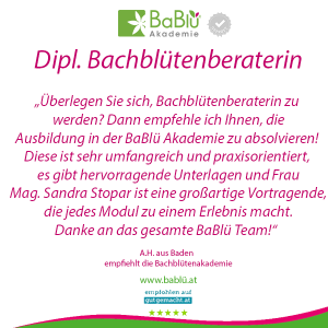 Das sagen unsere AbsolventInnen Das sagen unsere AbsolventInnen