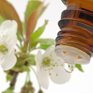 Bachblueten Tropfflasche - Fotolia Schlierner Bachblueten Tropfflasche - Fotolia Schlierner