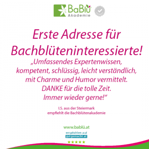 Das sagen unsere AbsolventInnen Das sagen unsere AbsolventInnen