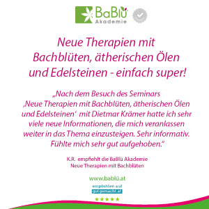 Das sagen unsere AbsolventInnen Das sagen unsere AbsolventInnen