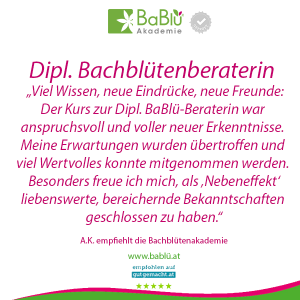 Das sagen unsere AbsolventInnen Das sagen unsere AbsolventInnen