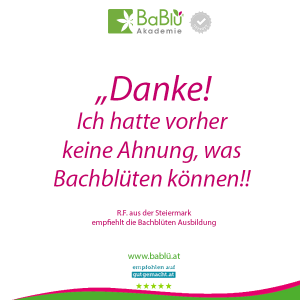 Das sagen unsere AbsolventInnen Das sagen unsere AbsolventInnen