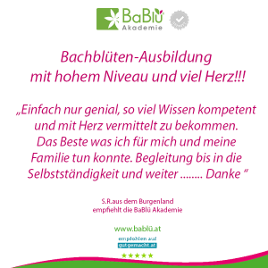 Das sagen unsere AbsolventInnen Das sagen unsere AbsolventInnen