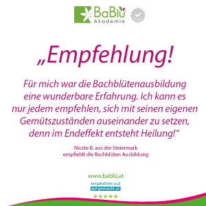 Das sagen unsere AbsolventInnen Das sagen unsere AbsolventInnen