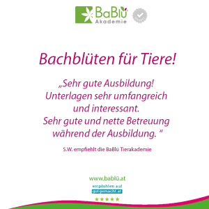 Das sagen unsere AbsolventInnen Das sagen unsere AbsolventInnen