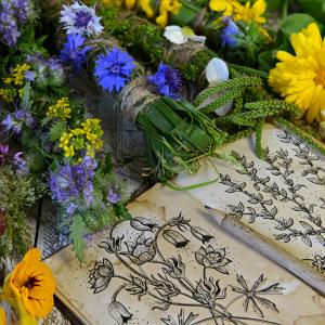 Signaturenlehre - Zeichensprache der Natur-TEM - AdobeStock Samiramay Signaturenlehre - Zeichensprache der Natur-TEM - AdobeStock Samiramay