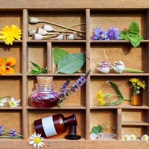 Pflanzliche Antibiotika - AdobeStock Marina Lohrbach Pflanzliche Antibiotika - AdobeStock Marina Lohrbach