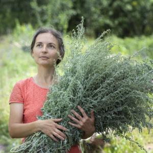 TEM Frauenheilkunde - AdobeStock Chepko Danil TEM Frauenheilkunde - AdobeStock Chepko Danil
