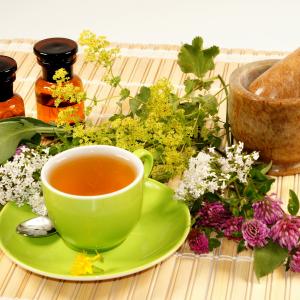 Frauenheilpflanzen - AdobeStock behewa Frauenheilpflanzen - AdobeStock behewa