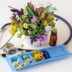 TEM Heilpflanzen bei Magen- und Darmproblemen - AdobeStock Sonja Birkelbach TEM Heilpflanzen bei Magen- und Darmproblemen - AdobeStock Sonja Birkelbach