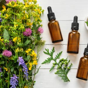 Pflanzliche Antibiotika - AdobeStock chamillew Pflanzliche Antibiotika - AdobeStock chamillew
