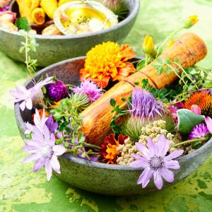 Sommerkräuter - AdobeStock Nikolay Donetsk Sommerkräuter - AdobeStock Nikolay Donetsk