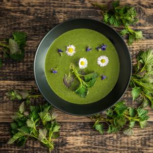 Gründonnerstagssuppe Frühlingskräuter - AdobeStock JiriD Gründonnerstagssuppe Frühlingskräuter - AdobeStock JiriD