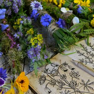 Altes Kräuterwissen Kräuterausbildung - AdobeStock Samiramay Altes Kräuterwissen Kräuterausbildung - AdobeStock Samiramay