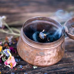 TEM-Altes Heilpflanzenwissen, Mythologie, Rituale & Kräuter-Brauchtum im Jahreskreis - AdobeStock Sonja Birkelbach TEM-Altes Heilpflanzenwissen, Mythologie, Rituale & Kräuter-Brauchtum im Jahreskreis - AdobeStock Sonja Birkelbach