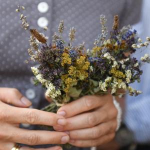 Kräuterbuschen - AdobeStock Spitzi Foto Kräuterbuschen - AdobeStock Spitzi Foto