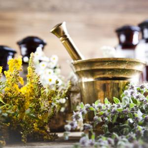 Europäische Kräuterkunde - AdobeStock Sebastian Duda  Europäische Kräuterkunde - AdobeStock Sebastian Duda