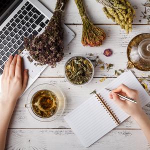 Kräuterkunde Heilpflanzenwissen Online Seminar- AdobeStock Andrey Cherkasov 