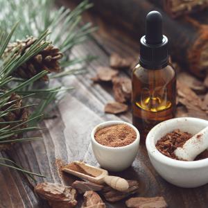 Nadelbaumöl - AdobeStock chamillew Nadelbaumöl - AdobeStock chamillew