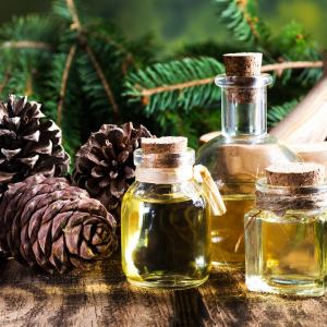 Nadelbaumöl - AdobeStock kosoff Nadelbaumöl - AdobeStock kosoff