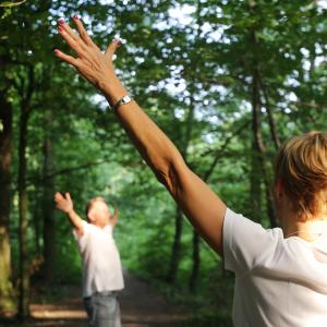 Im Wald - AdobeStock U. J. Alexander Im Wald - AdobeStock U. J. Alexander