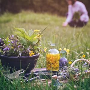 Signaturenlehre - Zeichensprache der Natur-TEM - AdobeStock chamillew Signaturenlehre - Zeichensprache der Natur-TEM - AdobeStock chamillew