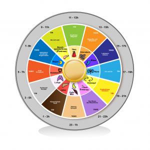 TCM Energetik Ernährung - Fotolia yvart  TCM Energetik Ernährung - Fotolia yvart