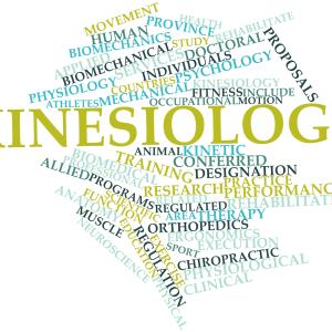 Kinesiologie - Fotolia Kinesiologie - Fotolia
