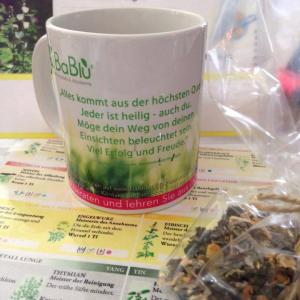 Die Meisterkräutertherapie - Europäische Kräuterkunde nach TCM Seminar Die Meisterkräutertherapie - Europäische Kräuterkunde nach TCM Seminar