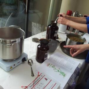 Die Meisterkräutertherapie - Europäische Kräuterkunde nach TCM Seminar Die Meisterkräutertherapie - Europäische Kräuterkunde nach TCM Seminar